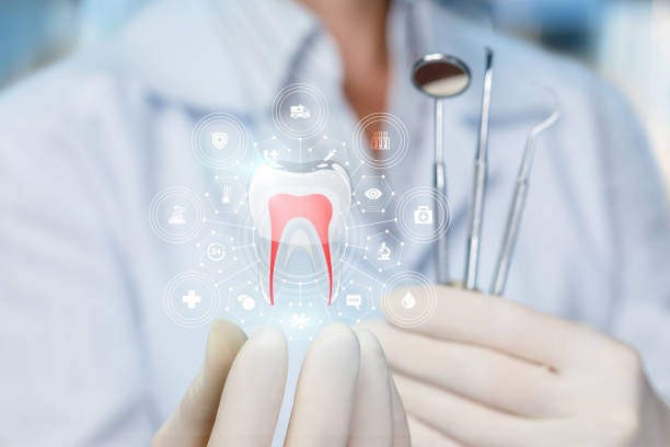 Best Full Mouth Reconstruction  in Hawkins, TX